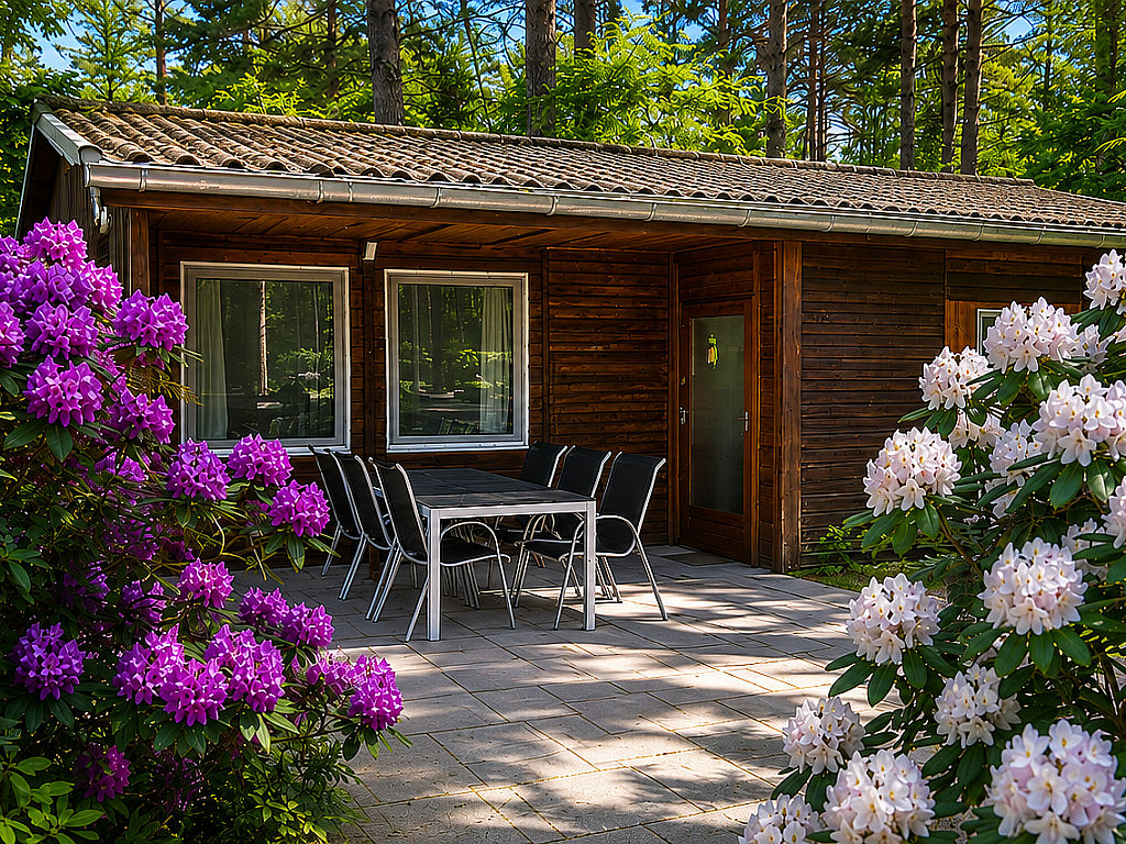 Bungalow ''Waldidyll B317''